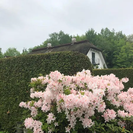 Lundtoftegaard אוהל מפואר קונגנס לינגבי