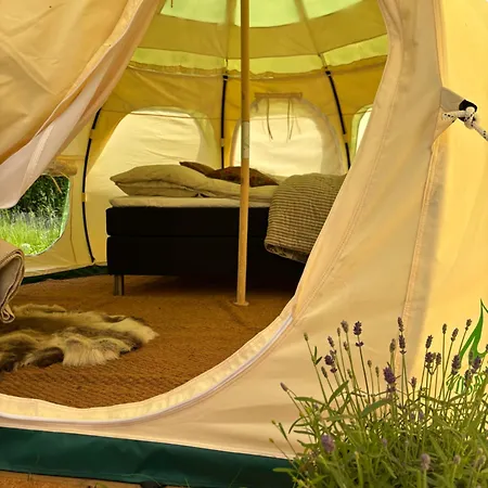 Lundtoftegaard كونغينس لينغبي